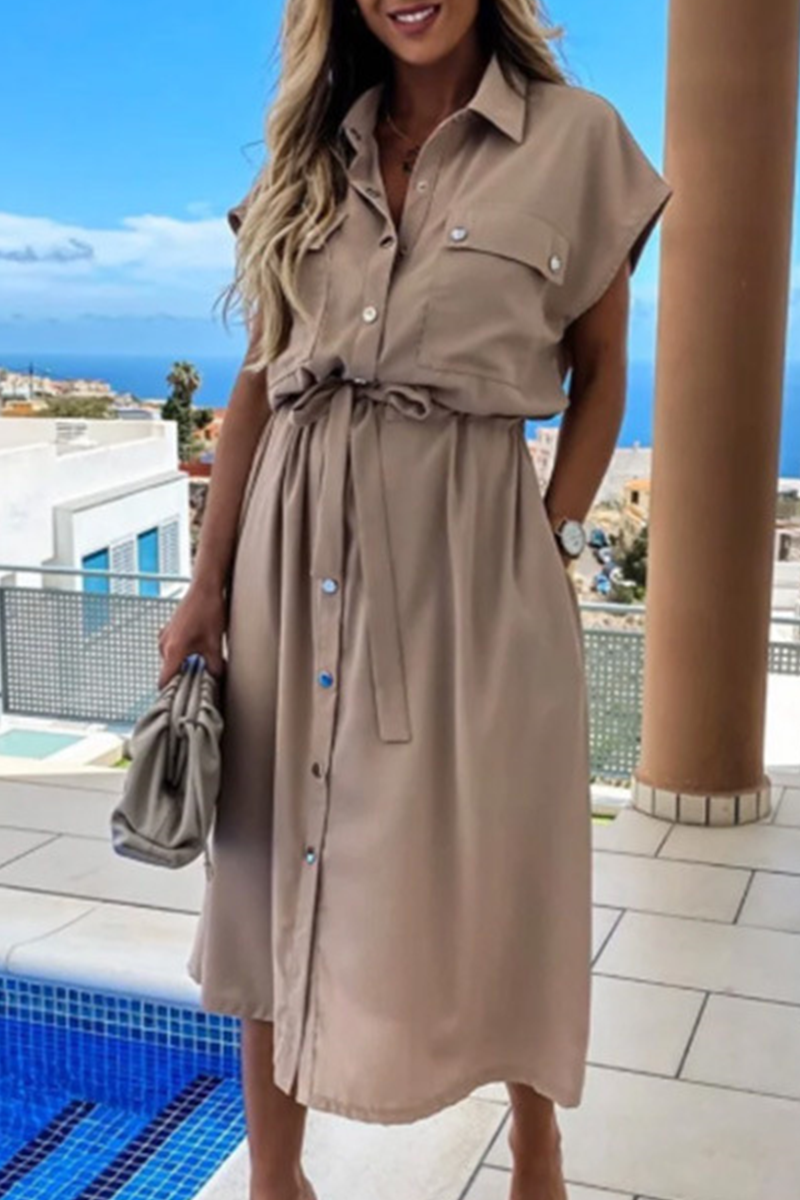 Valenzora | Elegant Solid Frenulum Clasp Polo Collar A-Line Dresses