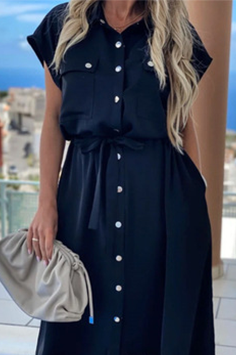 Valenzora | Elegant Solid Frenulum Clasp Polo Collar A-Line Dresses