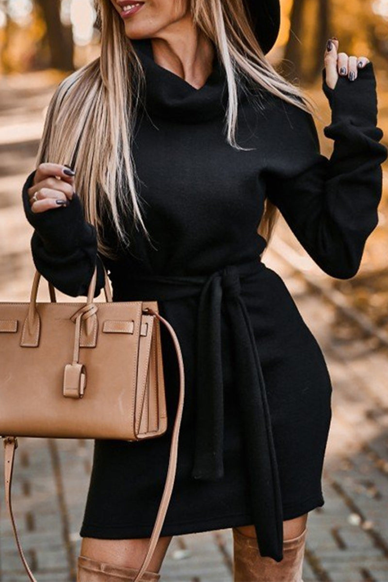 Valenzora | Casual Solid Frenulum Turtleneck One Step Skirt Dresses - 4 Colors