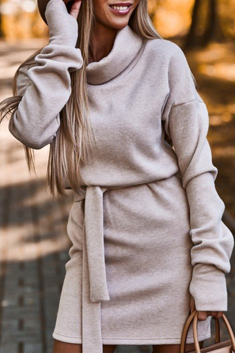 Valenzora | Casual Solid Frenulum Turtleneck One Step Skirt Dresses - 4 Colors