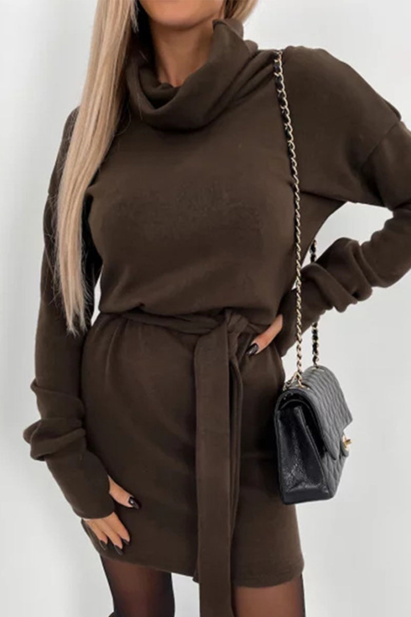 Valenzora | Casual Solid Frenulum Turtleneck One Step Skirt Dresses - 4 Colors
