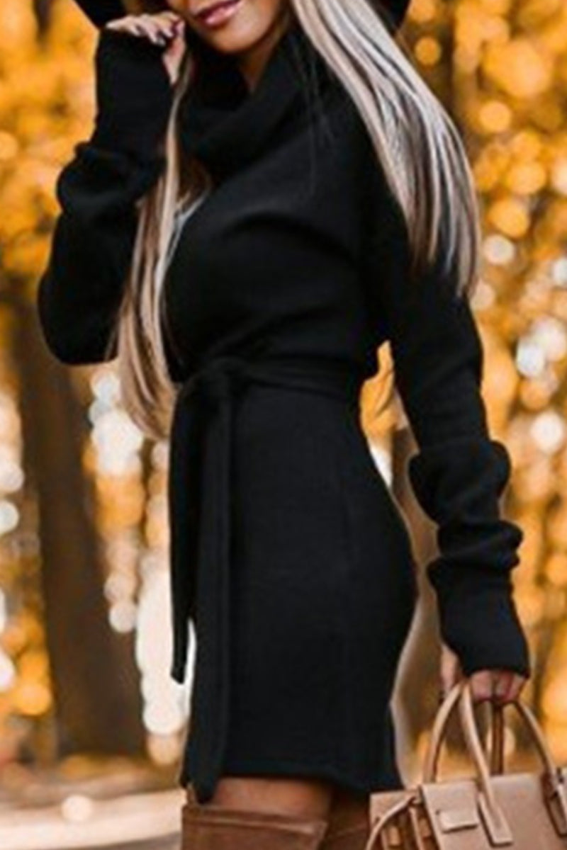Valenzora | Casual Solid Frenulum Turtleneck One Step Skirt Dresses - 4 Colors