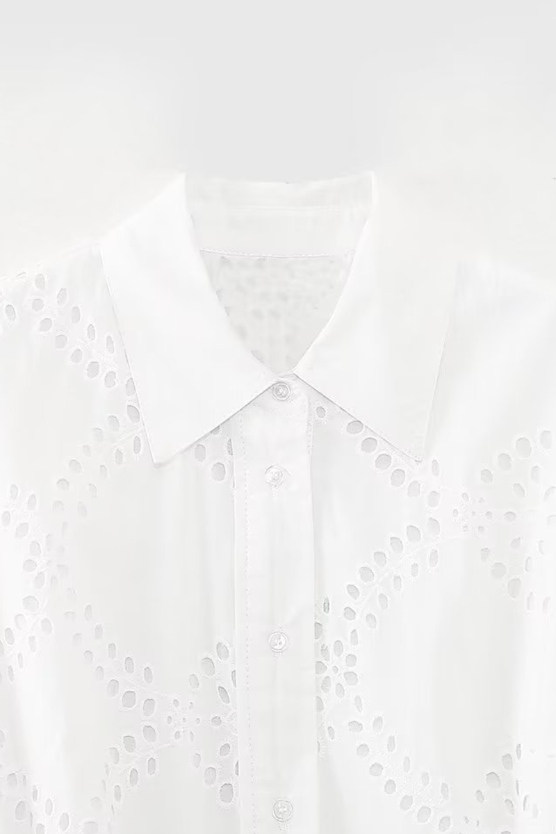 Valenzora | Casual Daily Solid Color Embroidered Hollowout Lace-Up Collar A-Line Dresses
