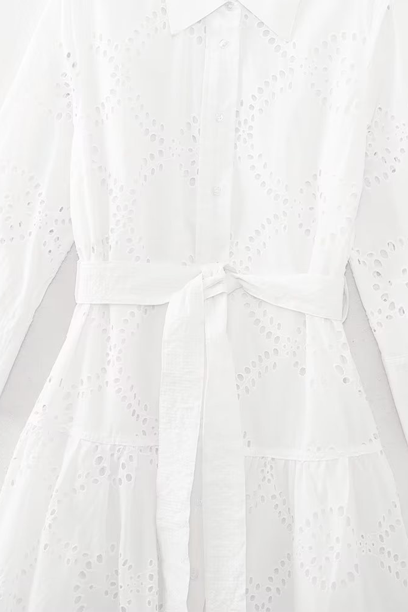 Valenzora | Casual Daily Solid Color Embroidered Hollowout Lace-Up Collar A-Line Dresses