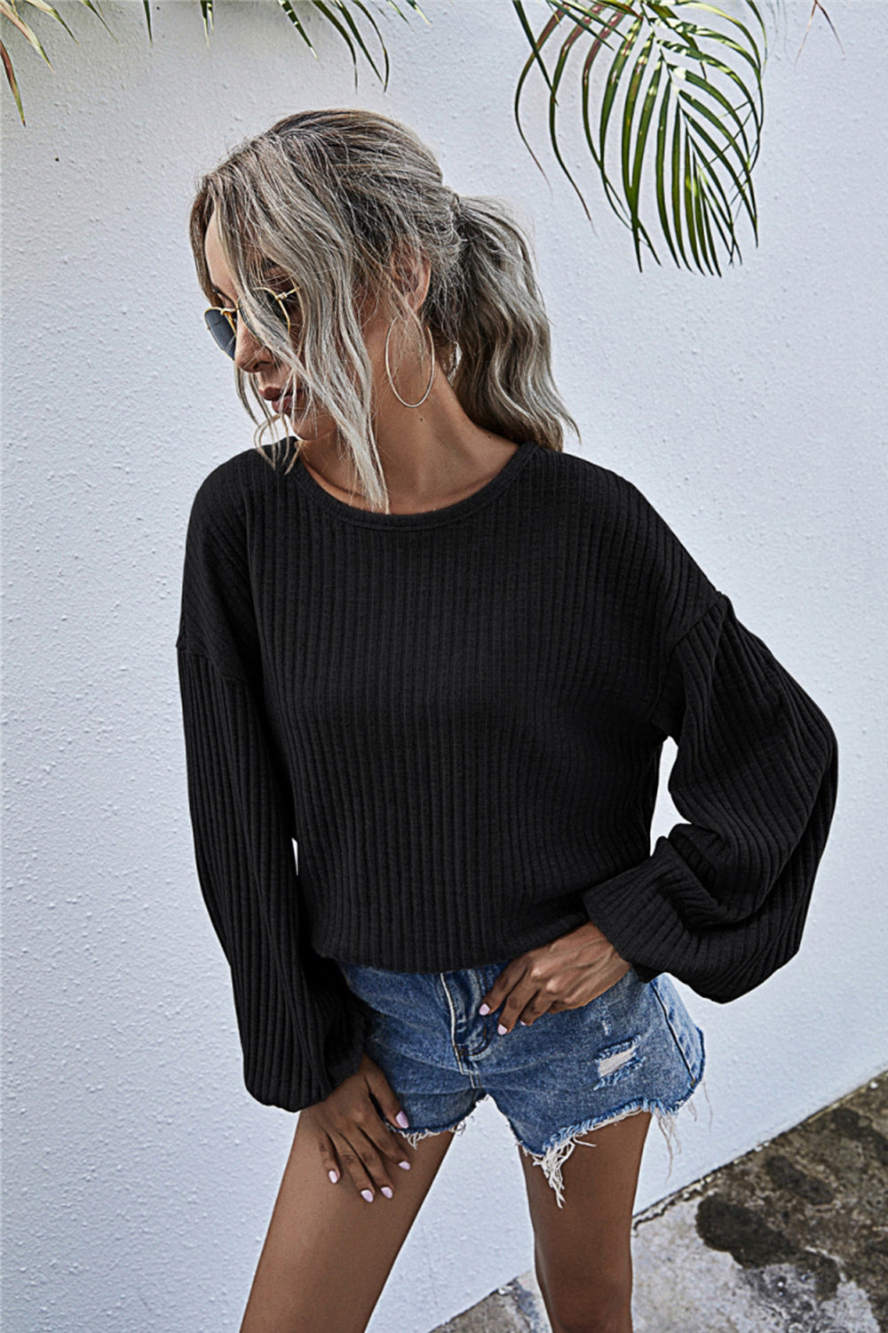 Valenzora Round Neck Lantern Sleeve Casual Knitted Top