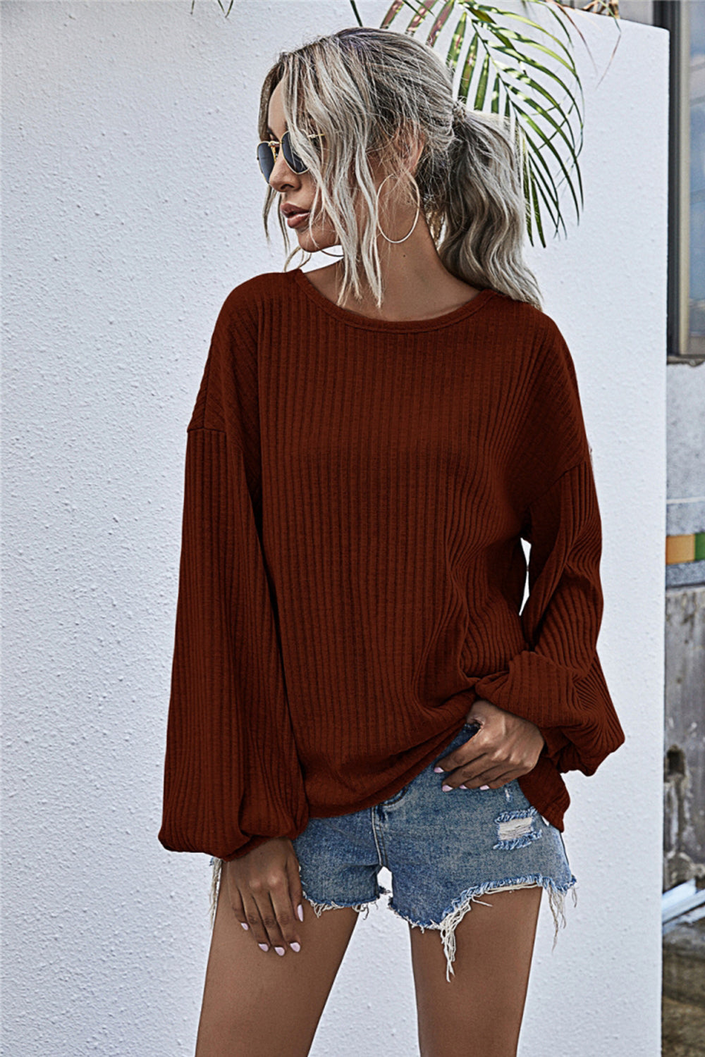 Valenzora Round Neck Lantern Sleeve Casual Knitted Top