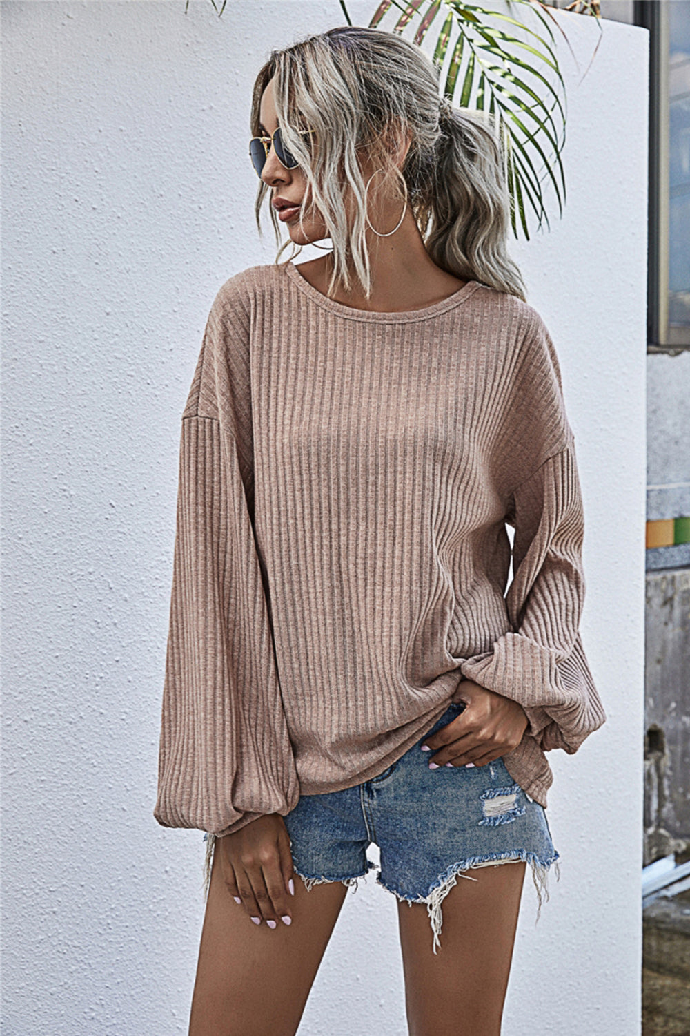 Valenzora Round Neck Lantern Sleeve Casual Knitted Top
