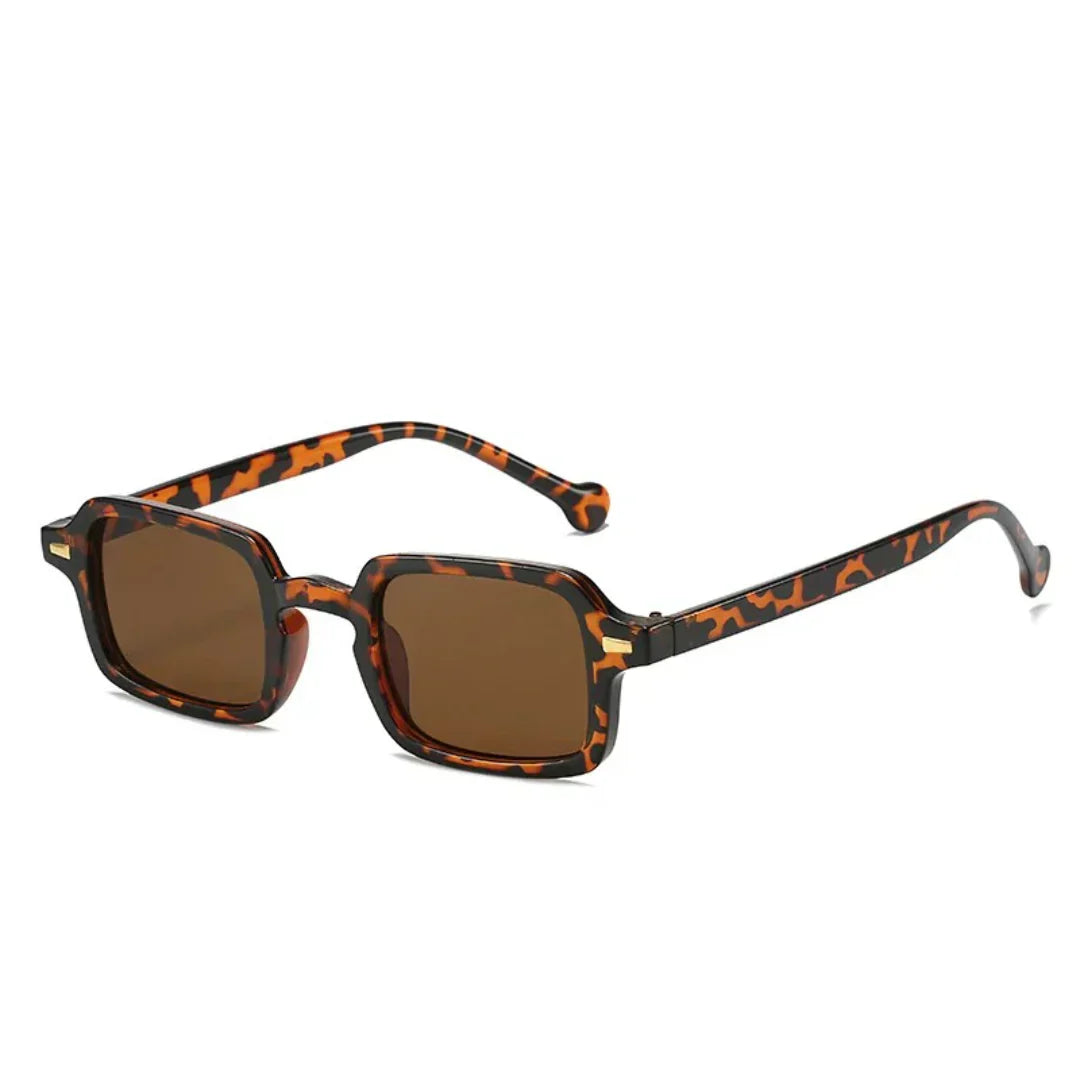 Valenzora Money Glasses - Modern - Decorative Colors