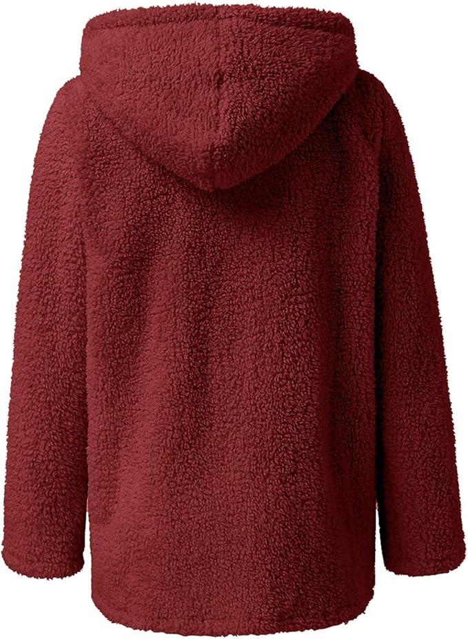 Fleece vest with hood and zipper