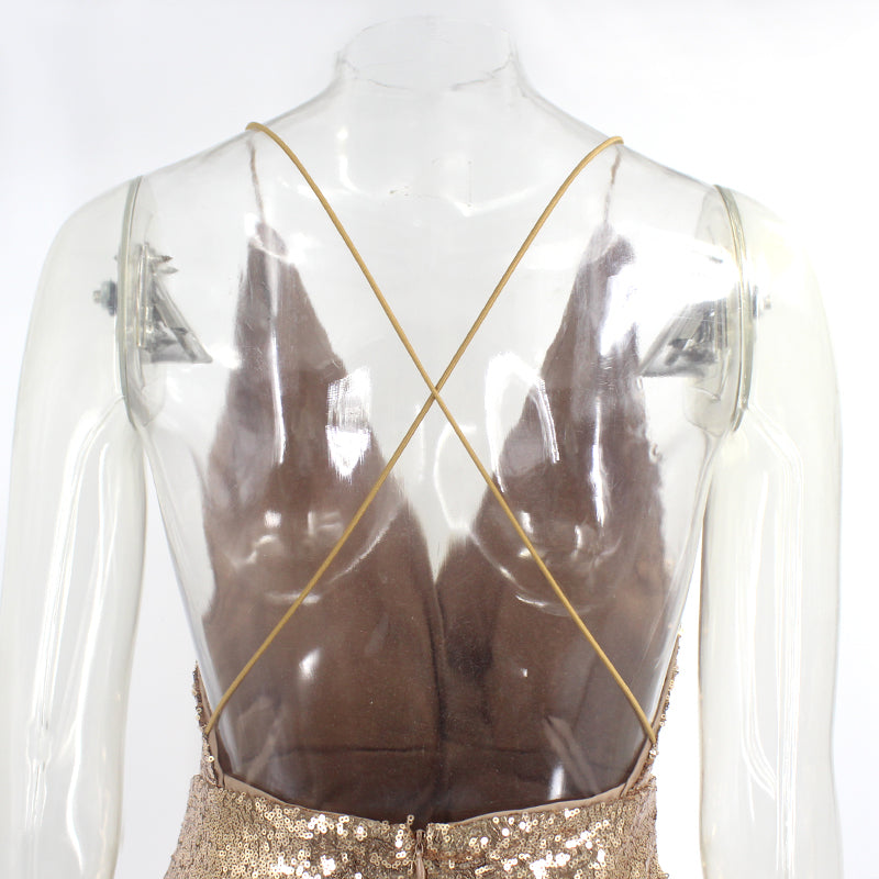 Valenzora | Perfect Night Party Mini Dress
