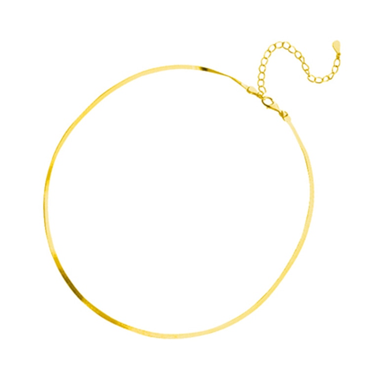 Valenzora Elegant Sterling Silver Snakebone Necklace | Women's Clavicle Chain Necklace