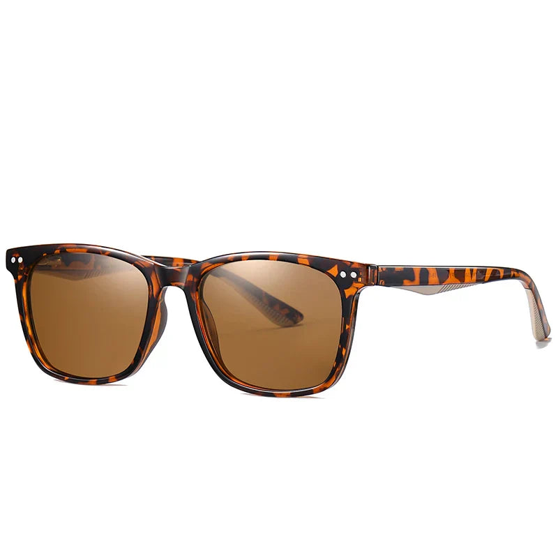 Valenzora | Classic sunglasses with a transparent frame