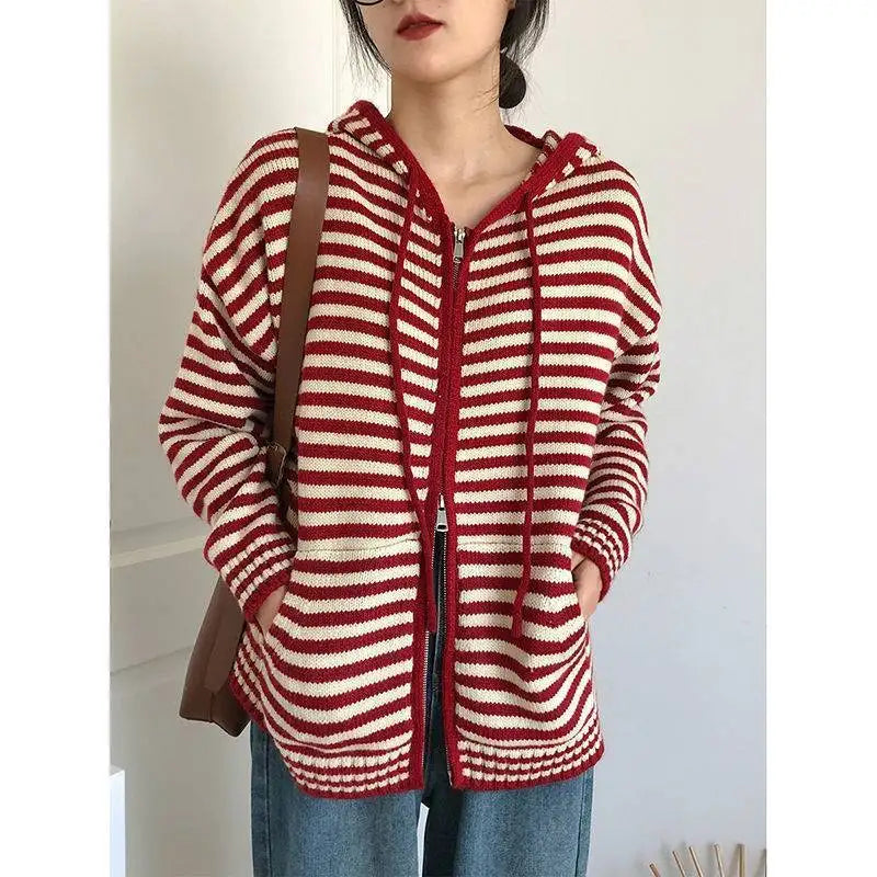Striped Hoodie Sweatshirt