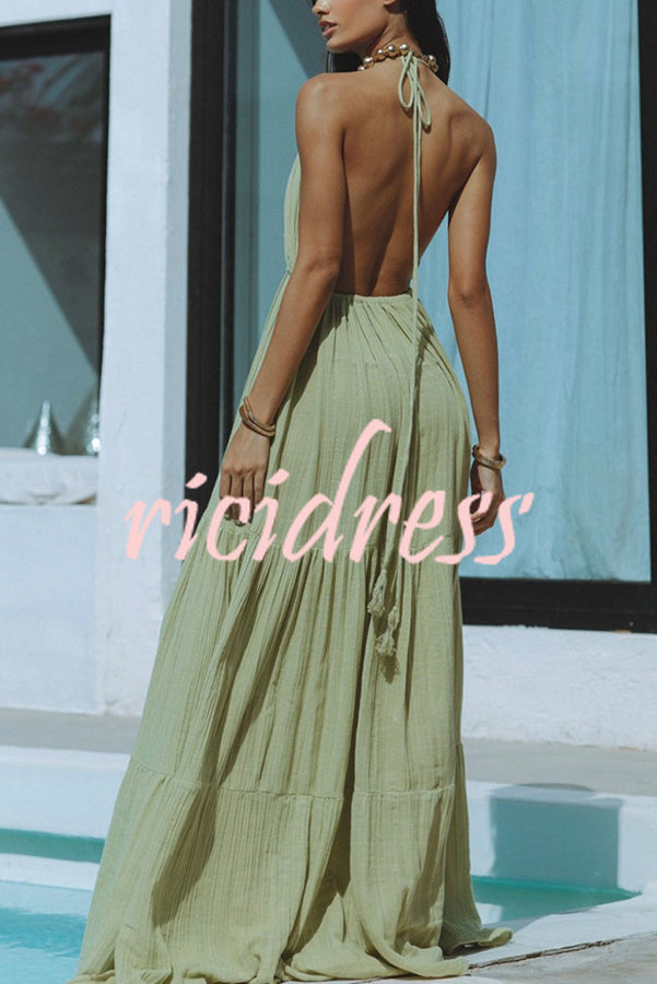 Valenzora – Neckholder maxi dress in a linen blend with a backless slit